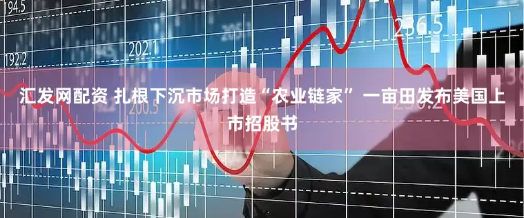汇发网配资 扎根下沉市场打造“农业链家” 一亩田发布美国上市招股书