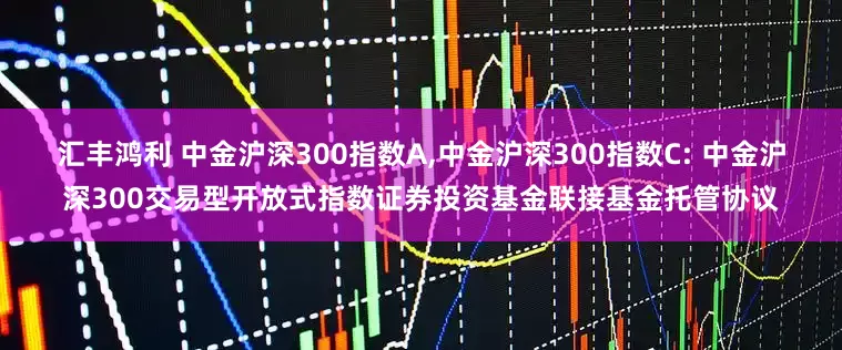 汇丰鸿利 中金沪深300指数A,中金沪深300指数C: 中金沪深300交易型开放式指数证券投资基金联接基金托管协议