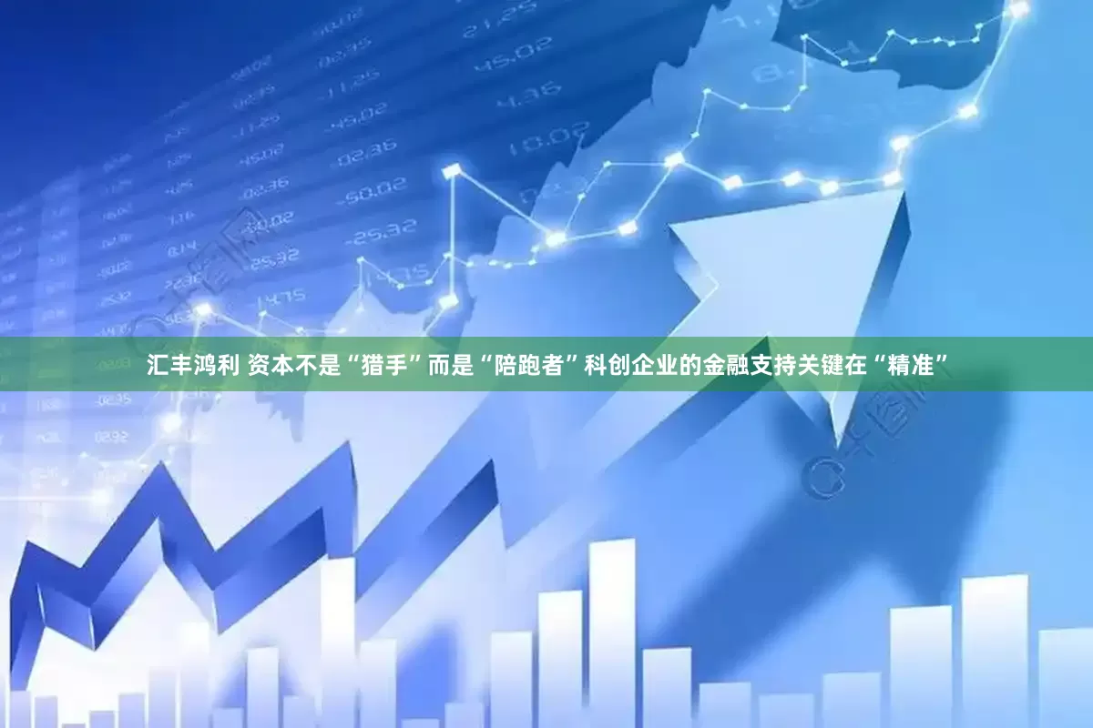 汇丰鸿利 资本不是“猎手”而是“陪跑者”科创企业的金融支持关键在“精准”