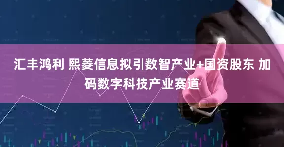 汇丰鸿利 熙菱信息拟引数智产业+国资股东 加码数字科技产业赛道