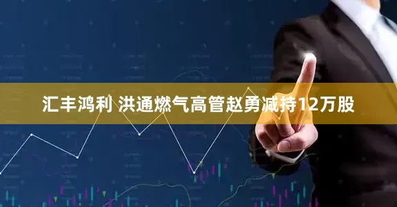 汇丰鸿利 洪通燃气高管赵勇减持12万股