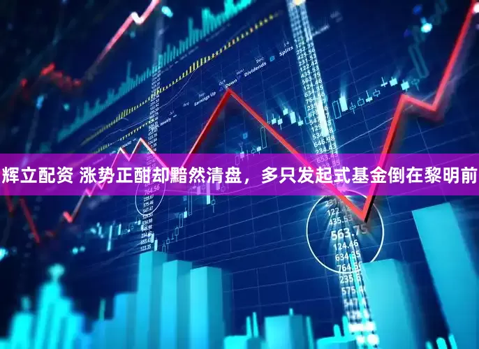 辉立配资 涨势正酣却黯然清盘，多只发起式基金倒在黎明前