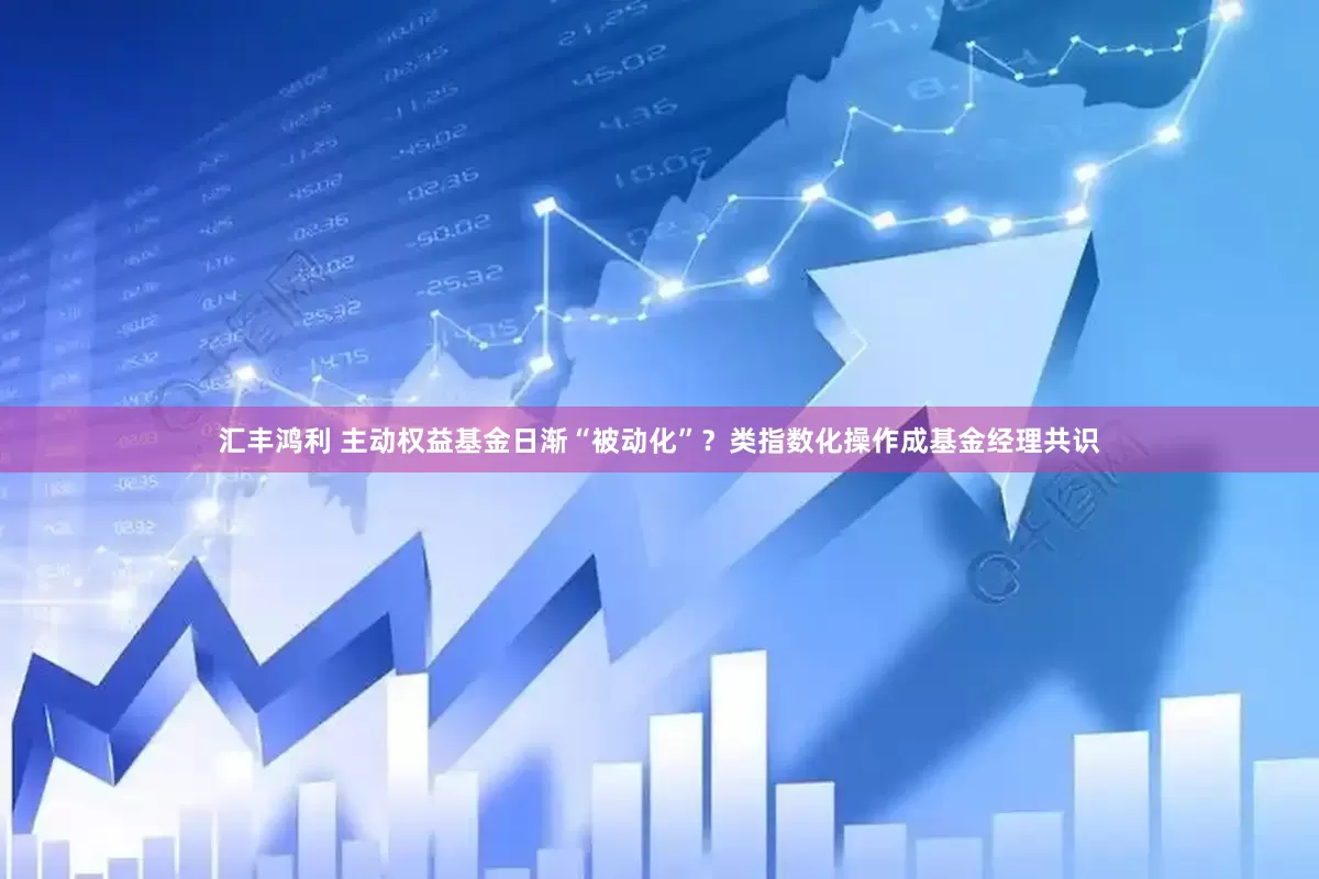 汇丰鸿利 主动权益基金日渐“被动化”？类指数化操作成基金经理共识
