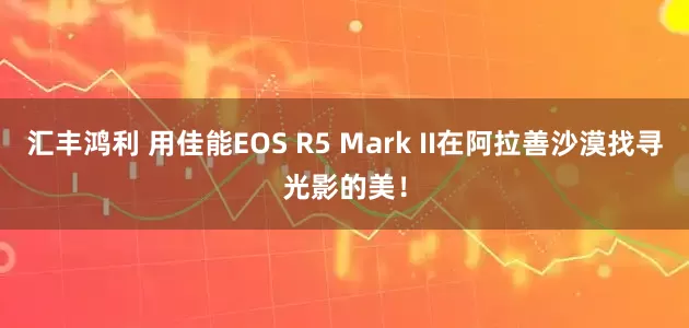汇丰鸿利 用佳能EOS R5 Mark II在阿拉善沙漠找寻光影的美!