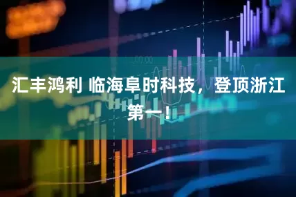 汇丰鸿利 临海阜时科技，登顶浙江第一！