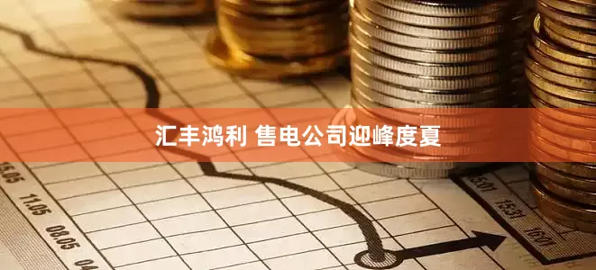 汇丰鸿利 售电公司迎峰度夏